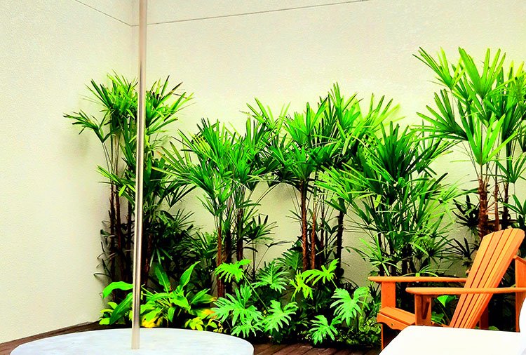 Luv Motel - Blumenau, Blumenau - Suíte Deck foto 5