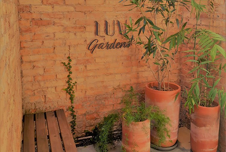 Luv Gardens, Caxias do Sul - Suíte Botanik foto 7